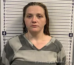 Mugshot of MEGAN FIELDS booked in Greene County, Arkansas on July 7, 2026