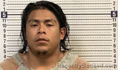 Mugshot of EDER VEGA booked in Greene County, Arkansas on July 8, 2026