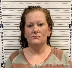 Mugshot of CRYSTAL WILSON booked in Greene County, Arkansas on July 8, 2026