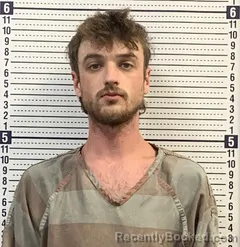 Mugshot of SEAN BROWN booked in Greene County, Arkansas on July 9, 2026
