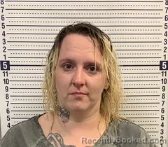 Mugshot of LISA PIPPINS booked in Greene County, Arkansas on July 9, 2026