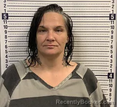 Mugshot of TRACEY MEDLEY booked in Greene County, Arkansas on July 11, 2026