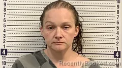 Mugshot of TELISHA ISOM booked in Greene County, Arkansas on July 12, 2026
