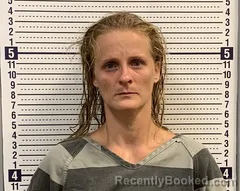 Mugshot of JENNIFER TOLEWITZKE booked in Greene County, Arkansas on July 13, 2026