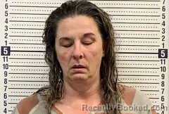 Mugshot of SONYA HYDE booked in Greene County, Arkansas on July 15, 2026