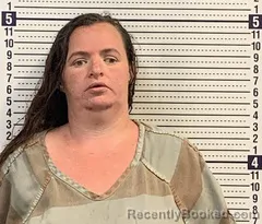 Mugshot of AMBER HERRON booked in Greene County, Arkansas on July 31, 2026