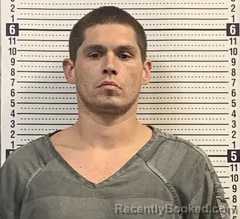 Mugshot of CODY LAMB booked in Greene County, Arkansas on August 2, 2026