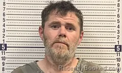 Mugshot of JAMES BANKS booked in Greene County, Arkansas on August 5, 2026