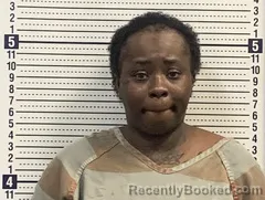 Mugshot of CHRISTINA EDWARDS booked in Greene County, Arkansas on August 5, 2026