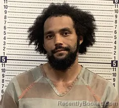 Mugshot of Jaylen Laws booked in Greene County, Arkansas on August 17, 2026
