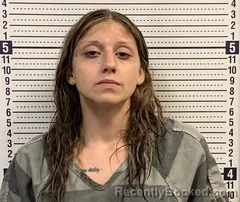 Mugshot of Destiny Madden booked in Greene County, Arkansas on August 17, 2026