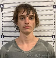 Mugshot of Tyler Crowe booked in Greene County, Arkansas on August 20, 2026