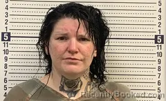 Mugshot of Victoria Labean booked in Greene County, Arkansas on August 28, 2026