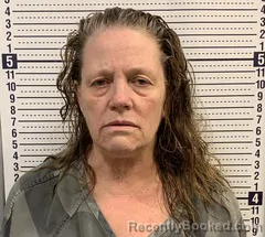 Mugshot of Paula Hobbs booked in Greene County, Arkansas on September 8, 2026
