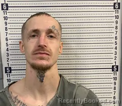 Mugshot of Zackery Goodson booked in Greene County, Arkansas on September 9, 2026