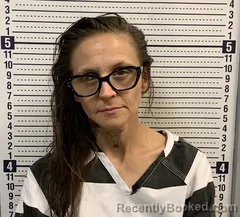 Mugshot of Jessica Wilson booked in Greene County, Arkansas on September 10, 2026