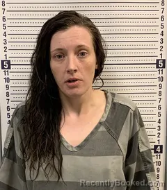 Mugshot of Shalena Branham booked in Greene County, Arkansas on September 11, 2026