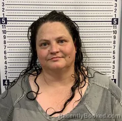 Mugshot of Christine Effinger booked in Greene County, Arkansas on September 15, 2026