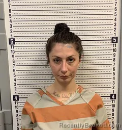 Mugshot of Hannah Chesser-Cooper booked in Greene County, Arkansas on October 8, 2026