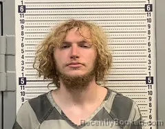 Mugshot of Tyler Davis booked in Greene County, Arkansas on October 11, 2026