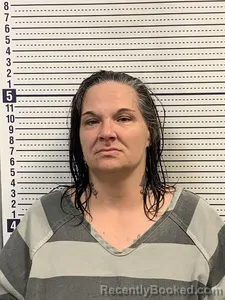 Mugshot of Tracey Medley booked in Greene County, Arkansas on October 22, 2026