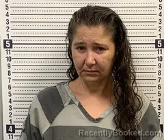 Mugshot of Amanda Williford booked in Greene County, Arkansas on October 23, 2026