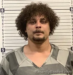 Mugshot of Jayden Tillmon booked in Greene County, Arkansas on October 23, 2026