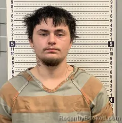 Mugshot of Kyle Hardin booked in Greene County, Arkansas on October 29, 2026