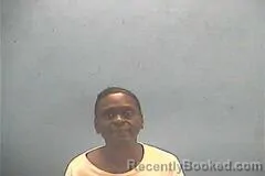 Mugshot of LYNN R WILLIAMS booked in Hempstead County, Arkansas on April 27, 2026