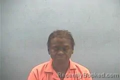 Mugshot of LYNN ROCHELLE WILLIAMS booked in Hempstead County, Arkansas on April 30, 2026