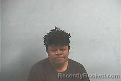 Mugshot of TASHA RENA DIXON booked in Hempstead County, Arkansas on June 14, 2026