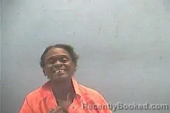 Mugshot of LYNN R WILLIAMS booked in Hempstead County, Arkansas on July 15, 2026