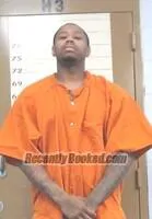 Booking photo from Hot Springs County, Arkansas