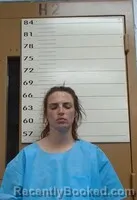 Mugshot of VICTORIA R WILLIS