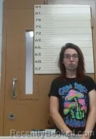 Mugshot of ASHLEIGH N ADDISON booked in Hot Springs County, Arkansas on April 8, 2026