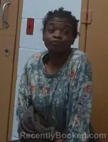 Mugshot of NELLIE COLLINS booked in Hot Springs County, Arkansas on April 9, 2026