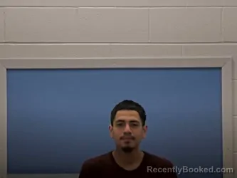 Mugshot of DAVID L MARTINEZ