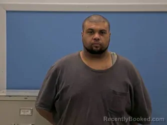 Mugshot of STEVEN REED JOHNSON