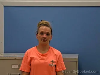 Mugshot of AMANDA K-LIN LAMB