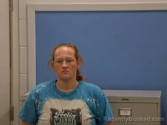 Mugshot of BRIDGET ROXANNE DAVIS booked in Howard County, Arkansas on April 1, 2026