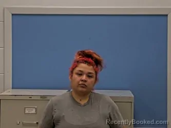 Mugshot of MARISSA DELAROSA booked in Howard County, Arkansas on April 12, 2026