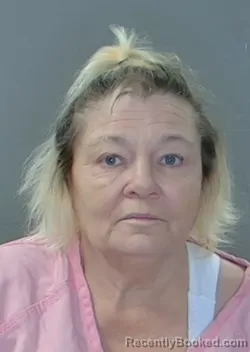 Mugshot of Diane Michelle Mccollum booked in Georgetown County, South Carolina on May 19, 2026