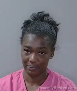 Mugshot of Erica Laquonda Morris booked in Georgetown County, South Carolina on October 22, 2026