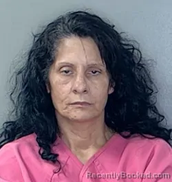 Mugshot of Rosemarie Oldham booked in Georgetown County, South Carolina on August 28, 2026
