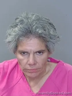 Mugshot of Lisa Marie Johnson booked in Georgetown County, South Carolina on April 3, 2026