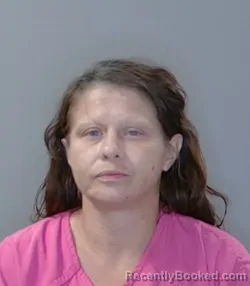 Mugshot of Krystal Lynn Johnson booked in Georgetown County, South Carolina on June 23, 2026