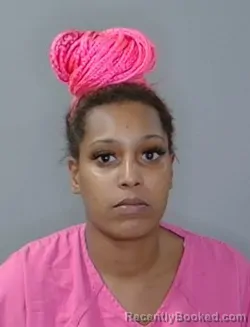 Mugshot of Janae Nevaeh Mitchell booked in Georgetown County, South Carolina on July 8, 2026
