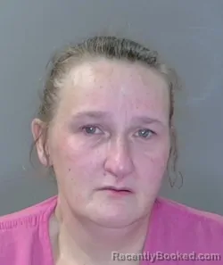 Mugshot of Ashley Cribb booked in Georgetown County, South Carolina on August 28, 2026