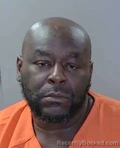 Mugshot of Olufemi Claramidele Nelson booked in Georgetown County, South Carolina on August 10, 2026