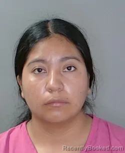 Mugshot of Noela Perez booked in Georgetown County, South Carolina on August 16, 2026
